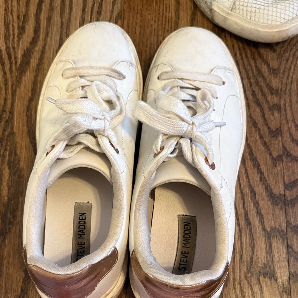 Steve Madden Classic Lace-Up Sneakers in White and rose gold